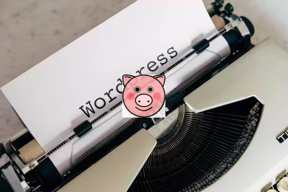 WordPress插件安全开发流程图