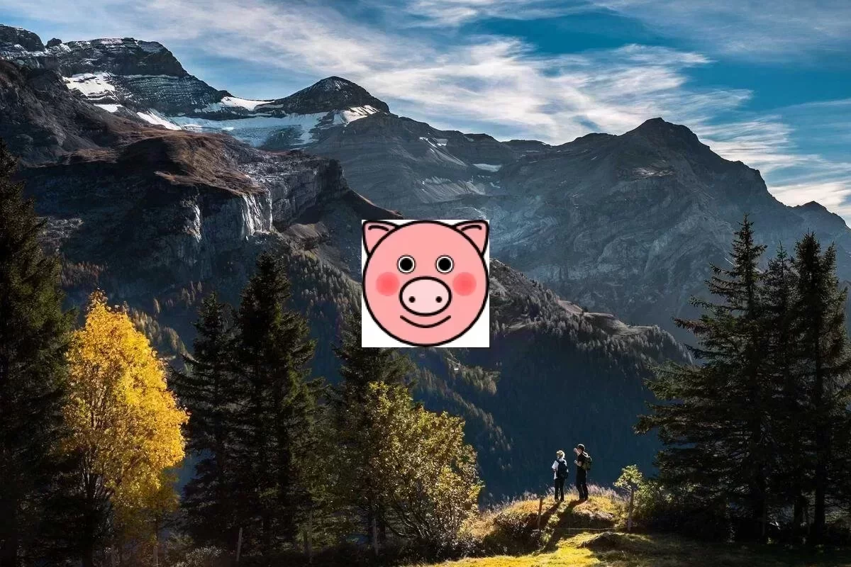 eBPF可观测性技术概念图