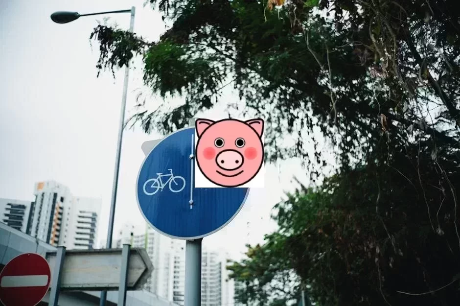跨站脚本攻击原理与防御实践 - 图片1