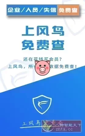 一张手机界面截图，显示“风鸟v4.7.6纯净版”及注册领取VIP会员提示。
