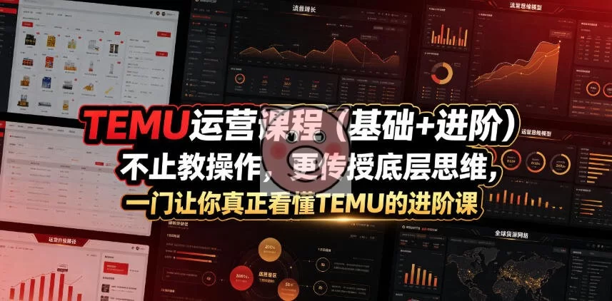 TEMU运营课程(基础+进阶),不止教操作,更传授底层思维,一门让你真正看懂TEMU的进阶课-小栈博客测试网