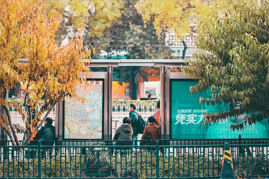 WordPress网站性能优化示意图