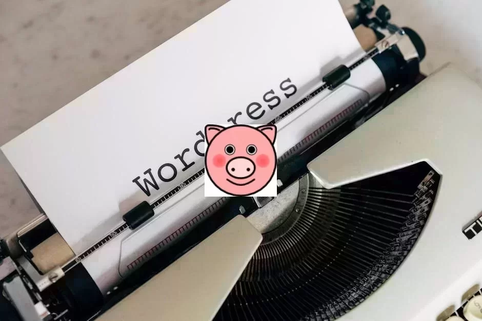 WordPress性能优化核心指南示意图