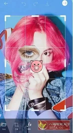 Picsart美易 v30.0.3高级版-小栈博客测试网
