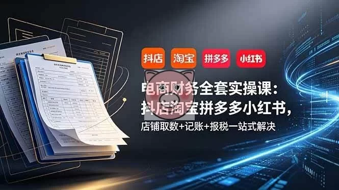 （19001期）电商财务全套实操课：抖店淘宝拼多多小红书，店铺取数+记账+报税一站式解决-小栈博客测试网