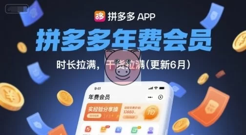 拼多多年费会员，实经验分享操，时长拉满，干货拉满(更新26年06月22日)-小栈博客测试网