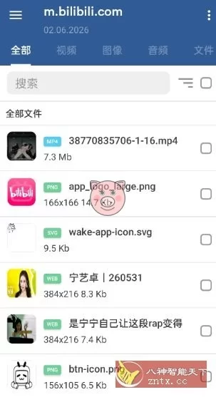 GetThemAll全能下载器3.6.5 GetThemAll全能下载器3.6.5