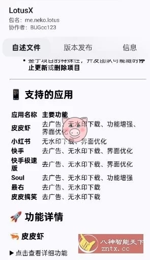 NPatch框架1.0.6（668）★基于LSPosed的免Root Xposed框架-小栈博客测试网