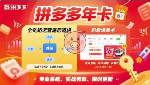 拼多多年卡,拼多多全链路运营底层逻辑,超级爆单术【更新26年6月】-小栈博客测试网