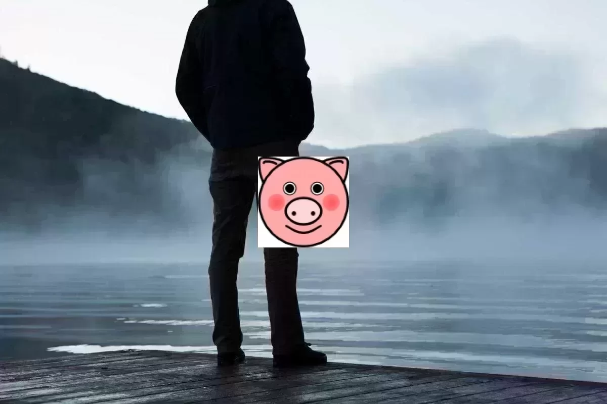 多模态AI推理中的视觉-语言对齐:从CLIP到LLaVA的工程化演进 - 图片2