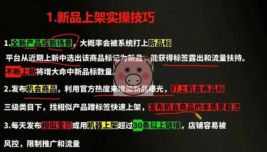 (19307期)2026拼多多AI智创+利润爆破双核特训营-拆解2026年7月最新玩法,0-1打爆SOP 人工智能,平台创新,跨平台 - 配图3