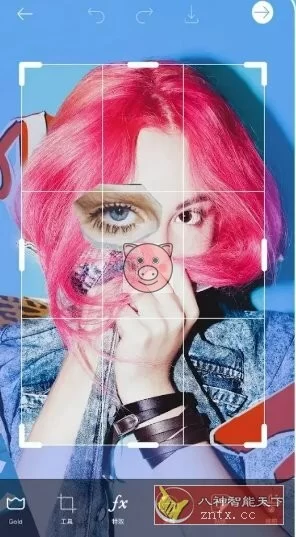 Picsart美易 v30.0.4高级版-小栈博客测试网
