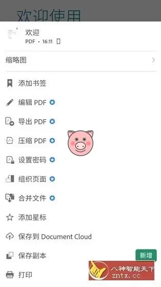 Adobe Acrobat Reader Pro 鼻祖级PDF处理器v26.4.4.44722高级版-小栈博客测试网