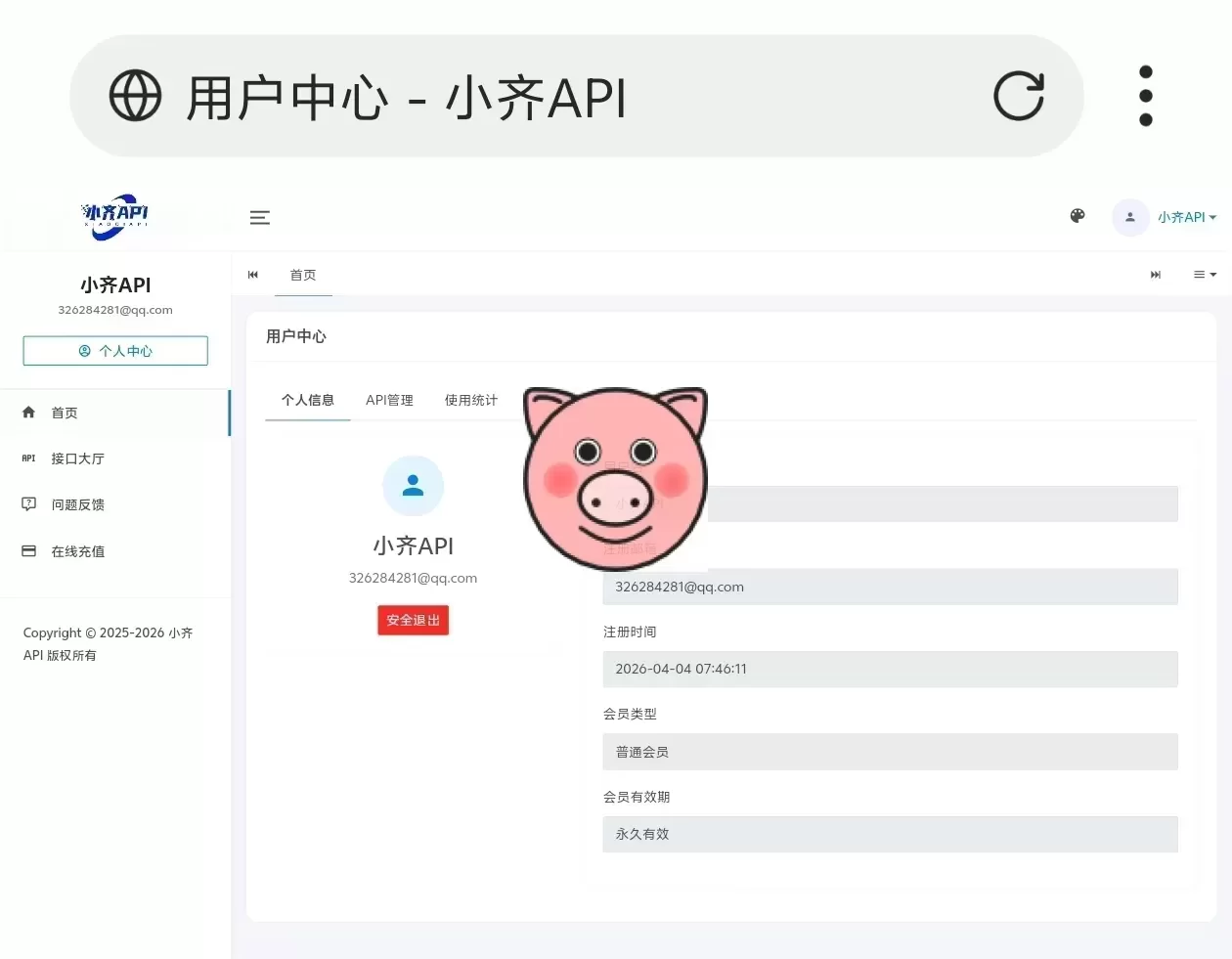 小齐API管理系统二开版安装界面截图