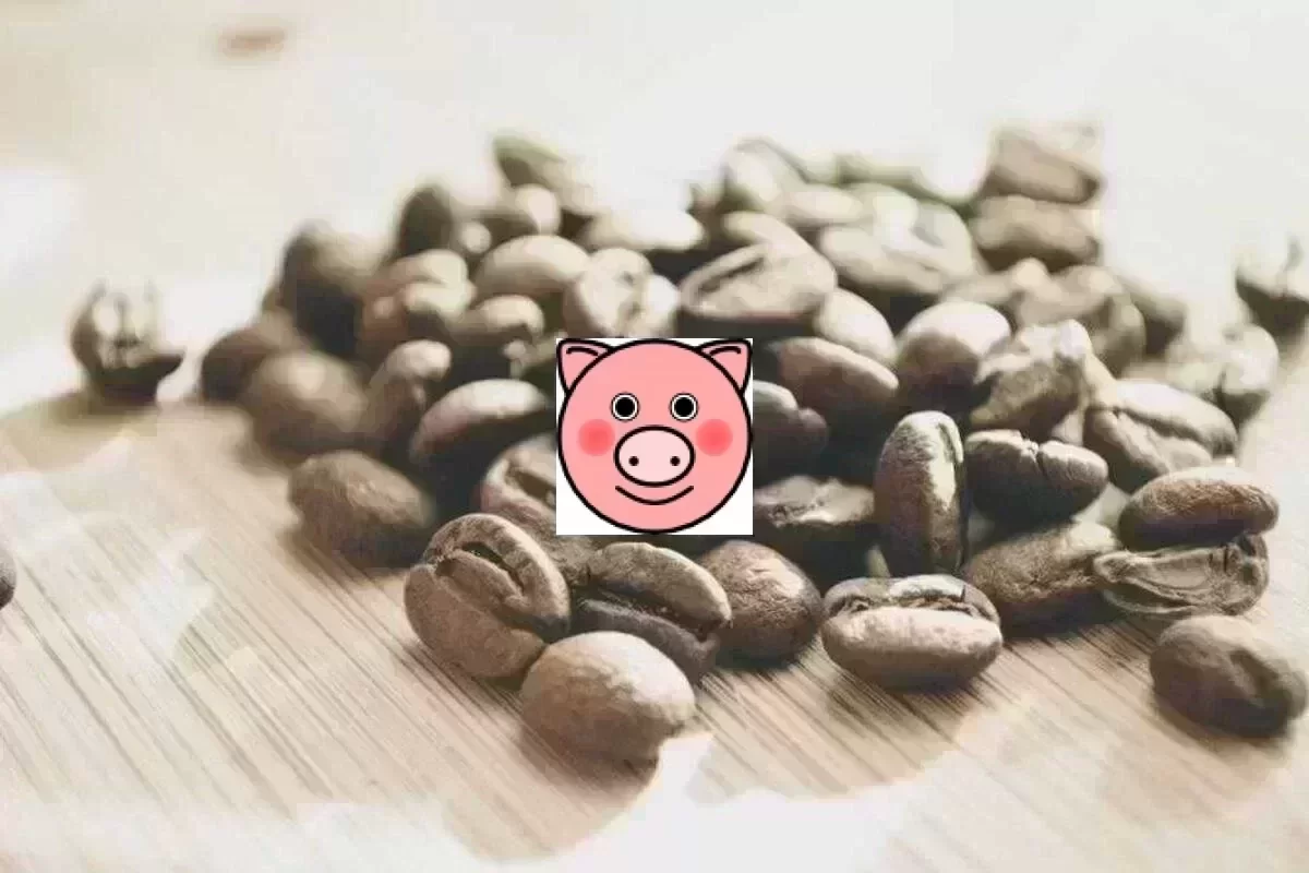 大模型推理服务部署:vLLM与TGI架构性能对比