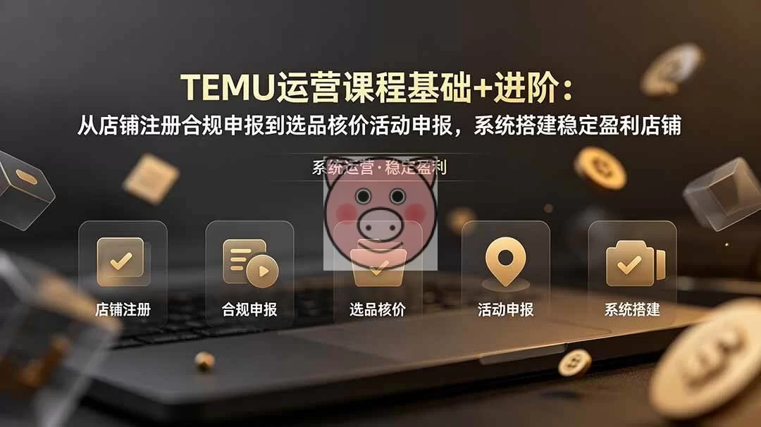 (19081期)TEMU运营课程(基础+进阶):从店铺注册合规申报到选品核价活动申报,系统搭建稳定盈利店铺-小栈博客测试网